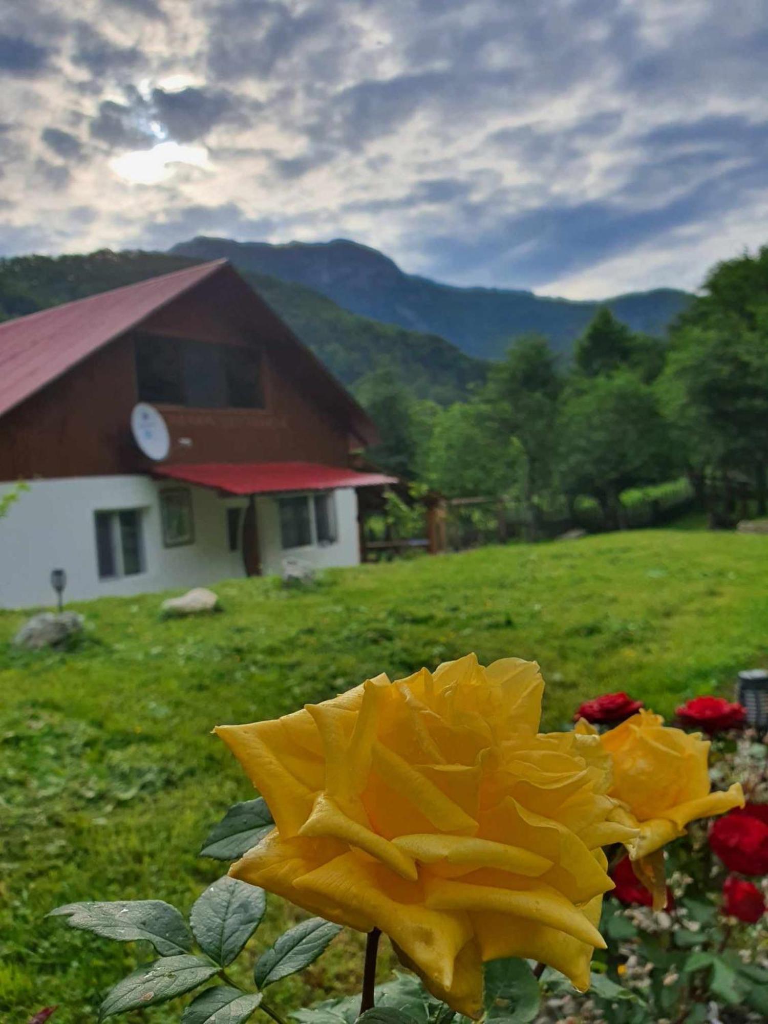 Cabana Lui Foarda Villa Motru Sec Exterior photo